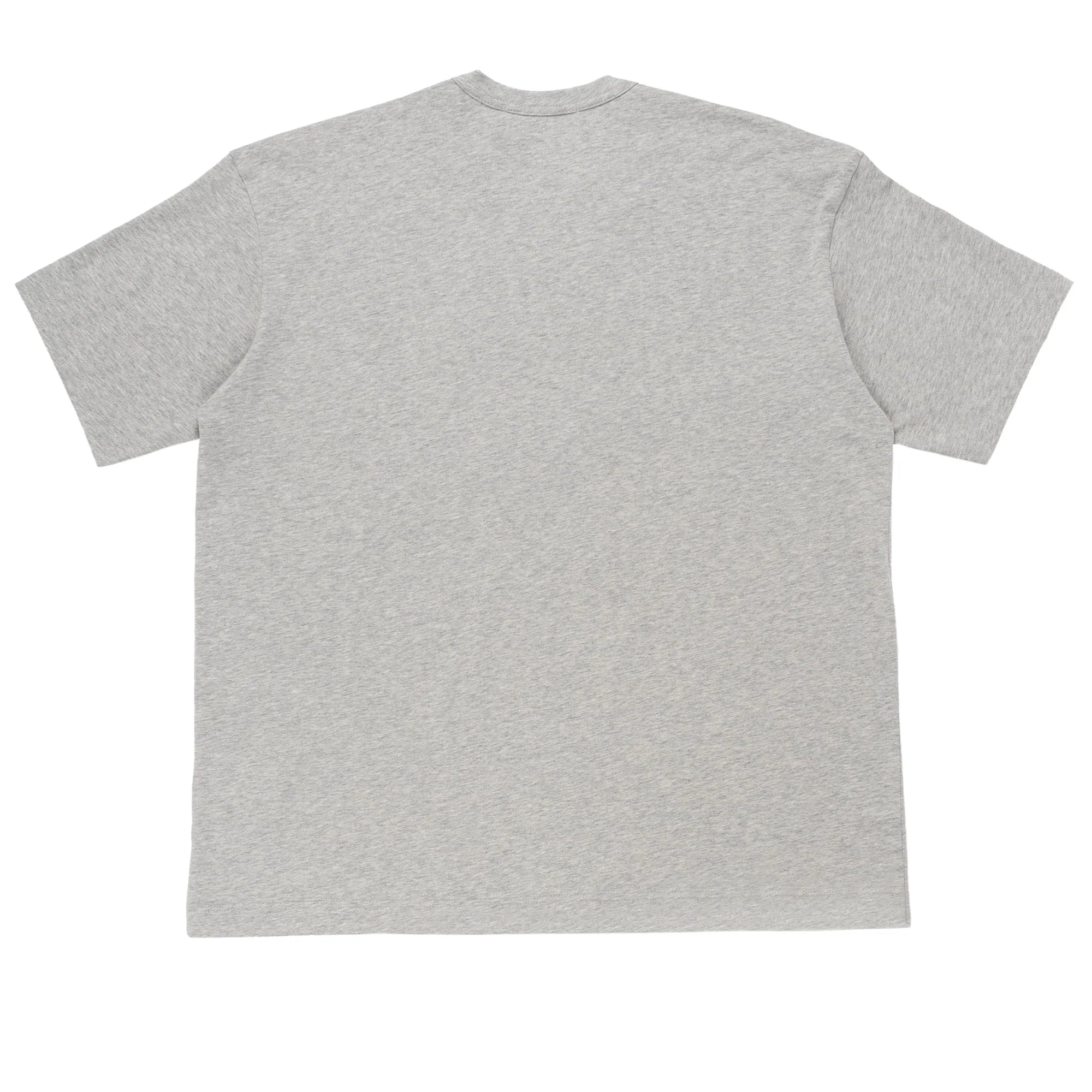 Comme des Garçons X Lacoste - T-Shirt FL-T008-W23 - Grey-T-shirts-FL-T008-W23