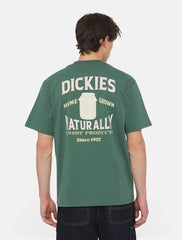Dickies - Ellison Tee SS - Green Forest-T-shirts-DK0A4YRMC58