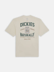 Dickies - Ellison Tee SS - Grey Cloud-T-shirts-DK0A4YRMC58