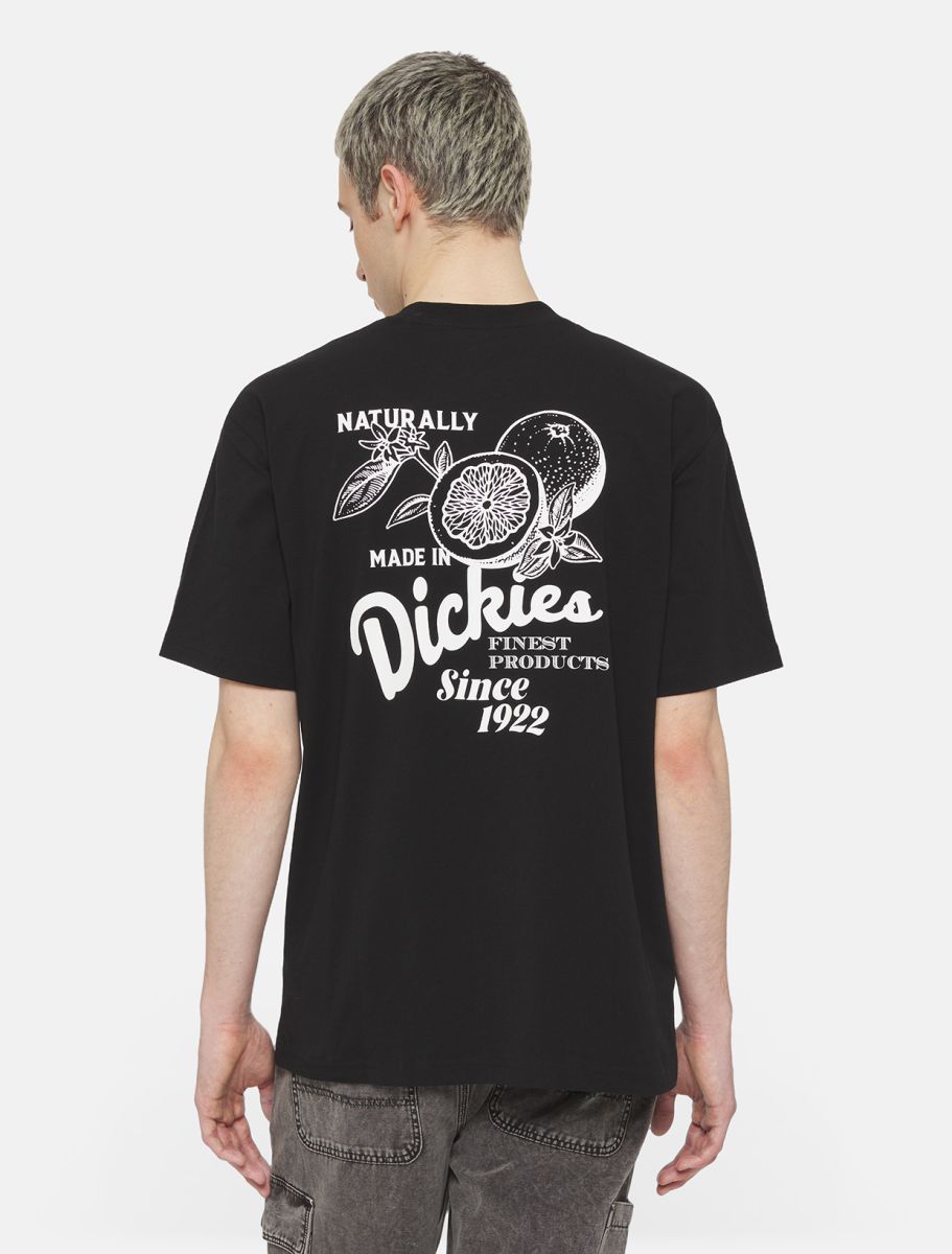 Dickies - Raven Tee - Noir-T-shirts-DK04YYMBLK1