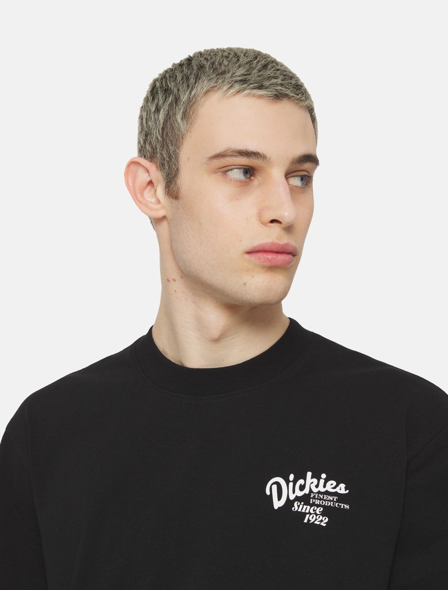 Dickies - Raven Tee - Noir-T-shirts-DK04YYMBLK1