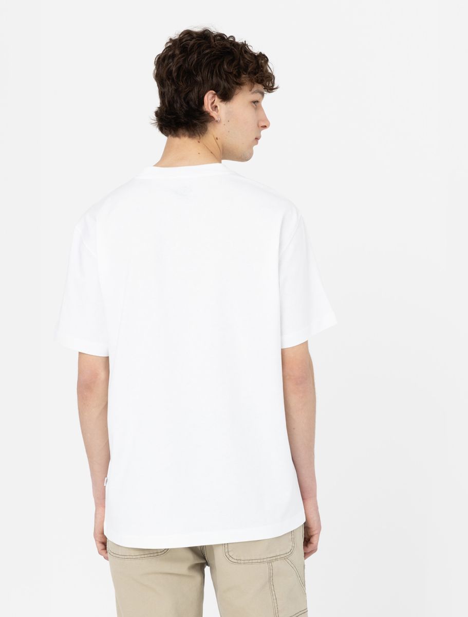 Dickies - Summerdale Tee SS - White-T-shirts-DK0A4YAI