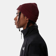 The North Face - Black Box Beanie - Regal Red-Accessoires-NF0A55KCD4S