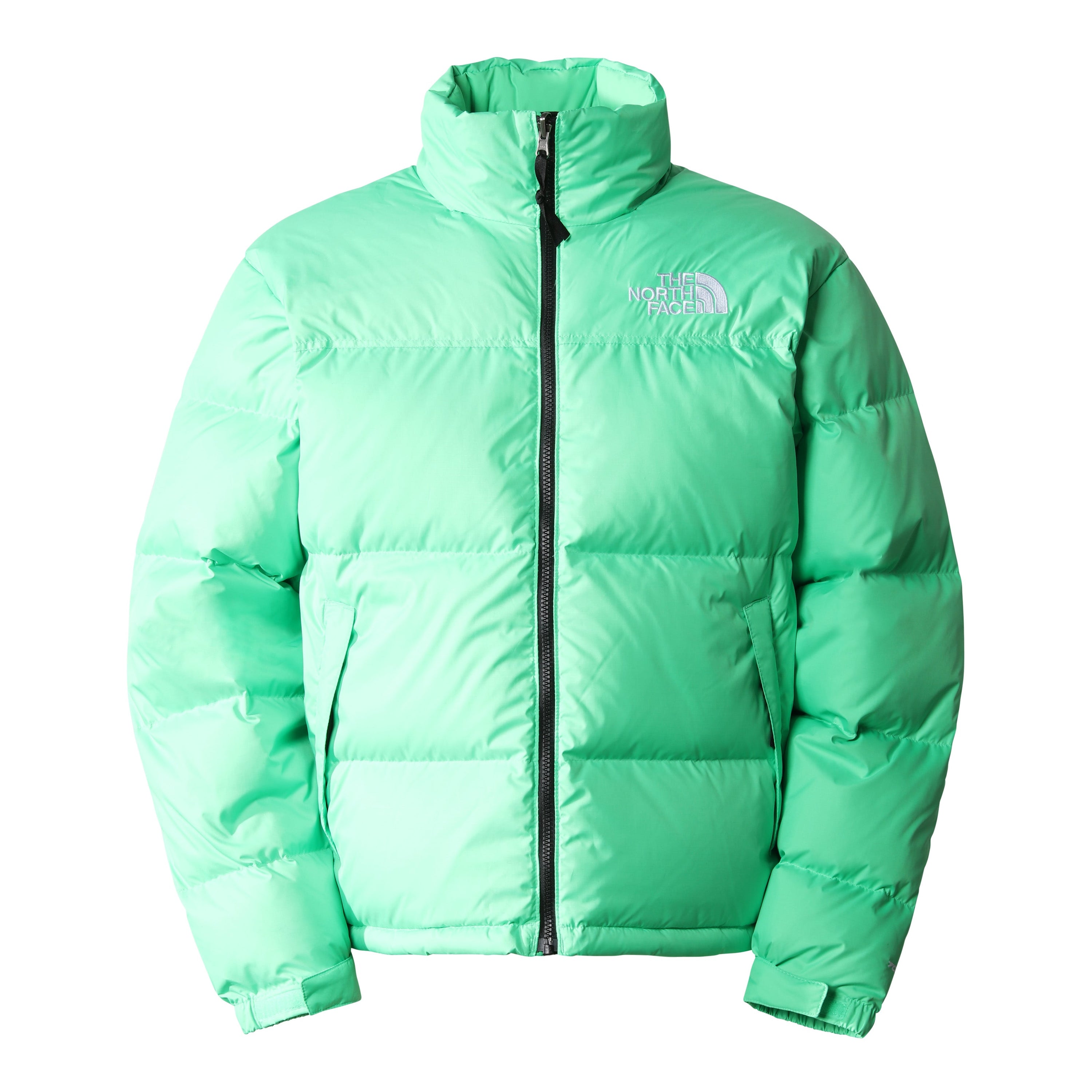 The North Face - M 1996 Retro Nuptse Jacket - Chlorophyll Green-Vestes et Manteaux-NF0A3C8D8YK