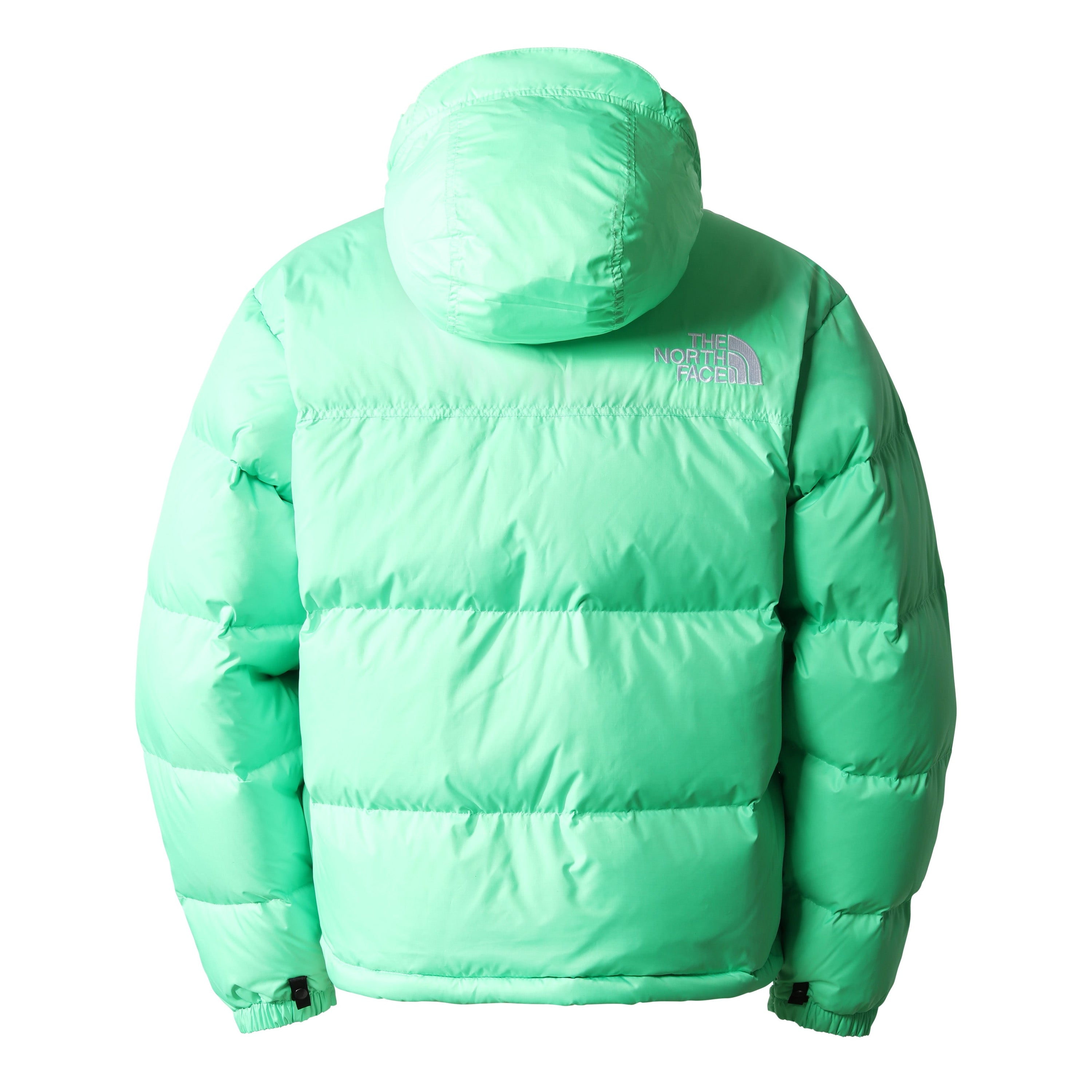 The North Face - M 1996 Retro Nuptse Jacket - Chlorophyll Green-Vestes et Manteaux-NF0A3C8D8YK